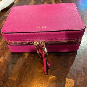 Calpak Dragonfruit Jewelry Case